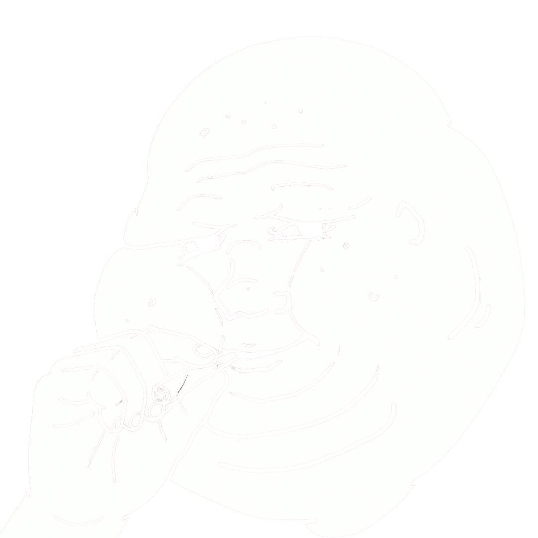 illustration of The Vibe Coder